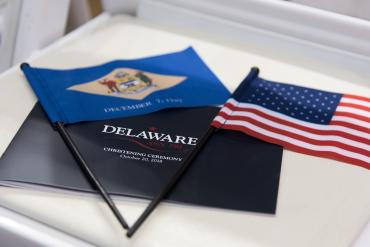 What are the risks of owners of ships registered under the Delaware flag - photo